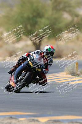 media/May-14-2023-SoCal Trackdays (Sun) [[024eb53b40]]/Turn 5 Tree of Life (1125am)/